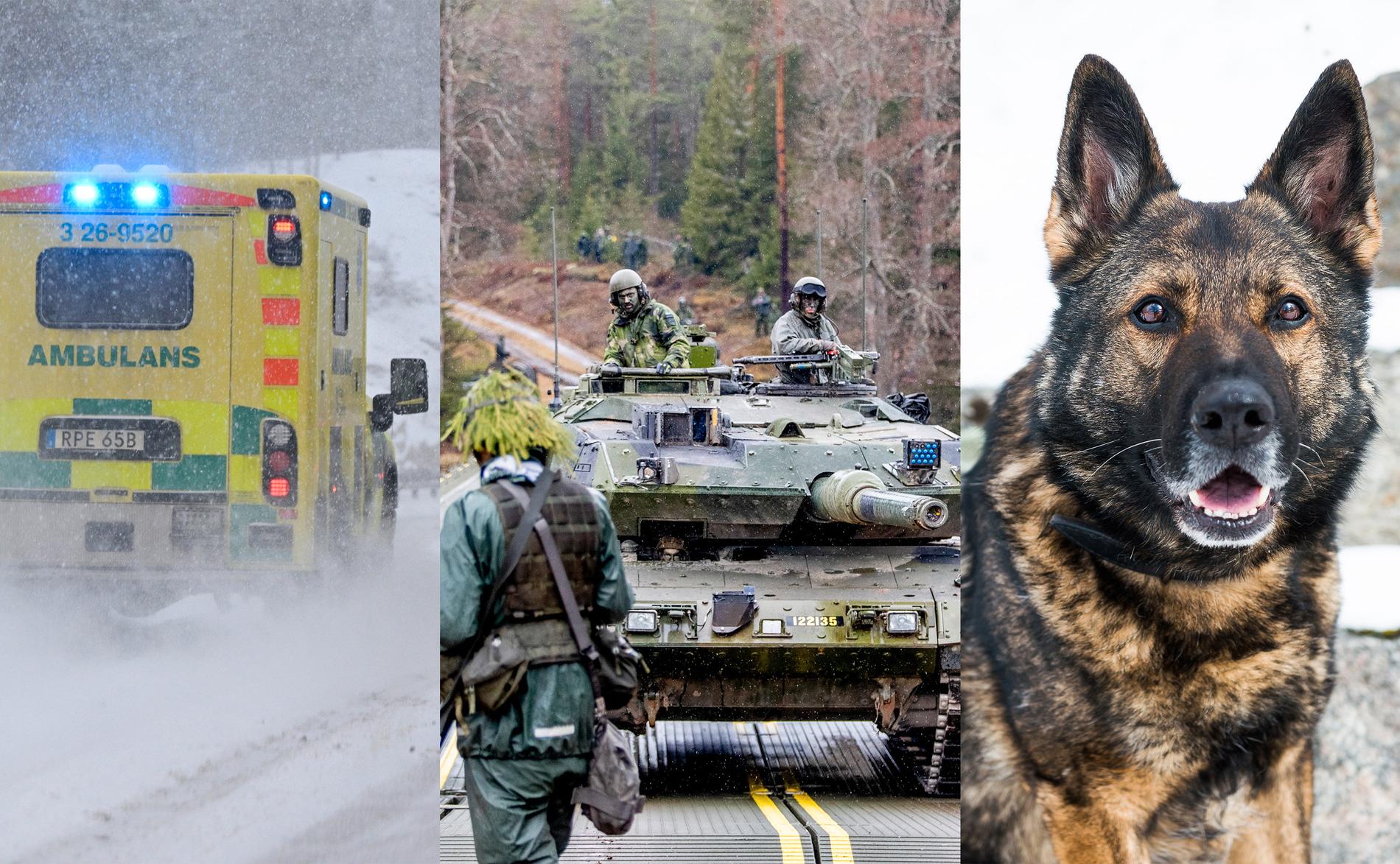 Räddningstjänst, militärt försvar eller gå till jobbet som vanligt? Allt är en del av totalförsvaret. Till och med din hund kan vara del av det. Arkivbilder.