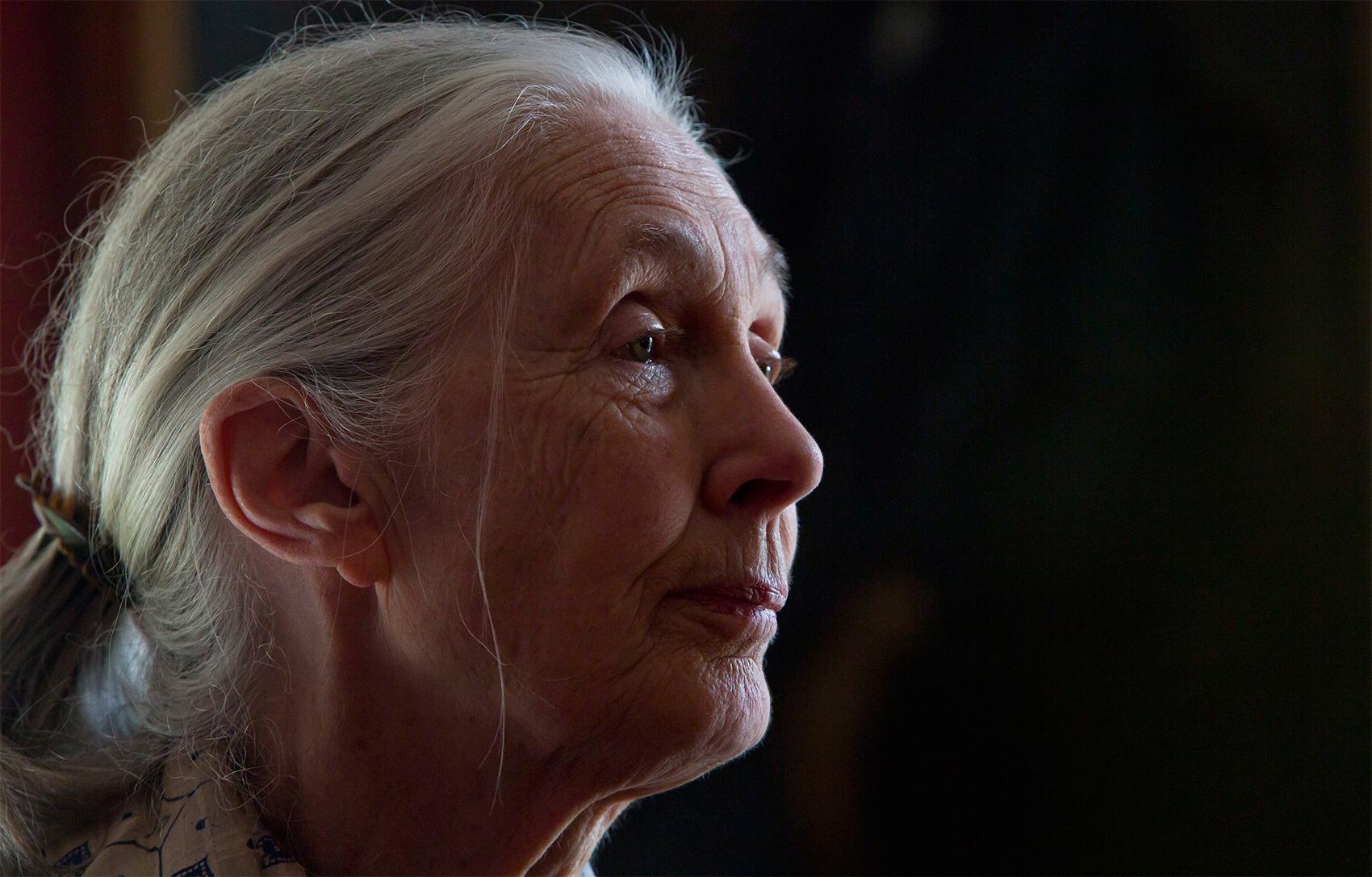 Apexperten Jane Goodall.