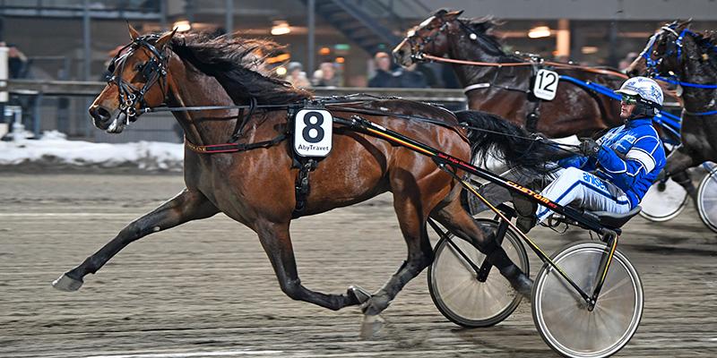 9 Unico Broline (V75–1) spikas av Micke Nybrink: ”En häst i kuslig form där jag har en känsla att han tar avstamp mot större uppgifter 2022 efter att ha opererat bort en sticka (typ, jag är ingen doktor) i ett ben”.