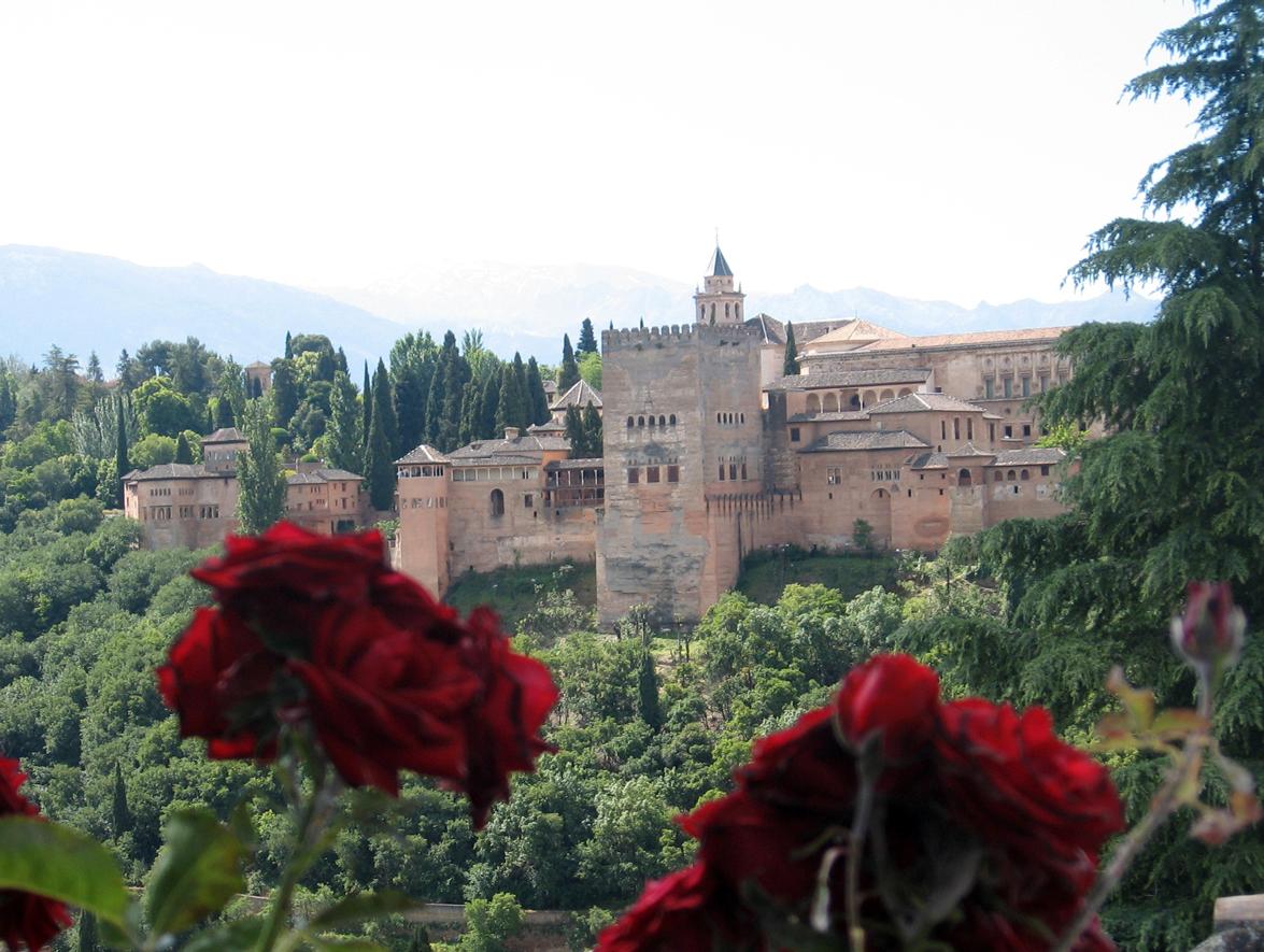 Lamenda Kingdon trodde hon satte sig på planet till Granada i Spanien...