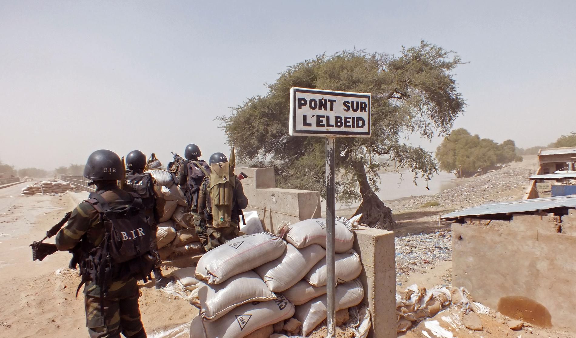 Soldater i Kamerun i insatser mot Boko Haram. Arkivbild