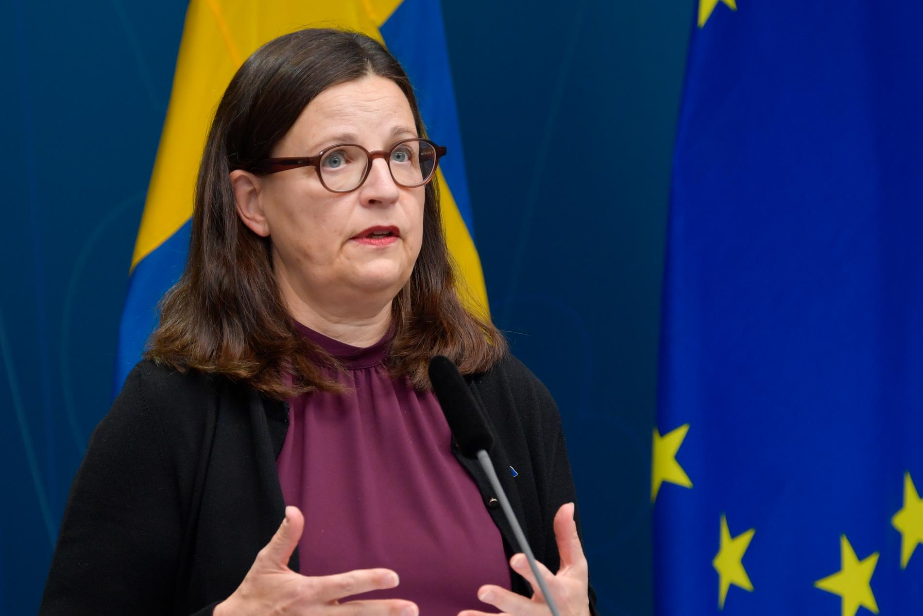 En tillfällig lösning återställer tillgången till uppgifter om skolor, enligt utbildningsminister Anna Ekström (S).