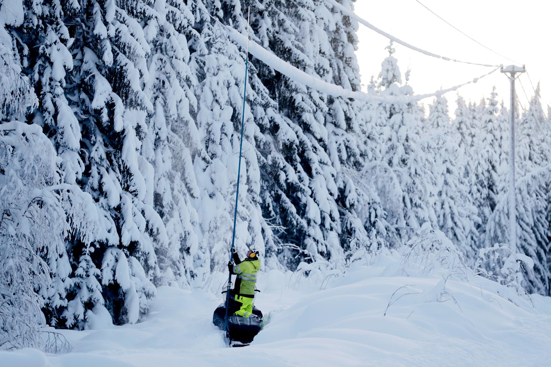 Bild från januari 2021. Montörer rensar ledningsgator på träd, grenar och snö.
