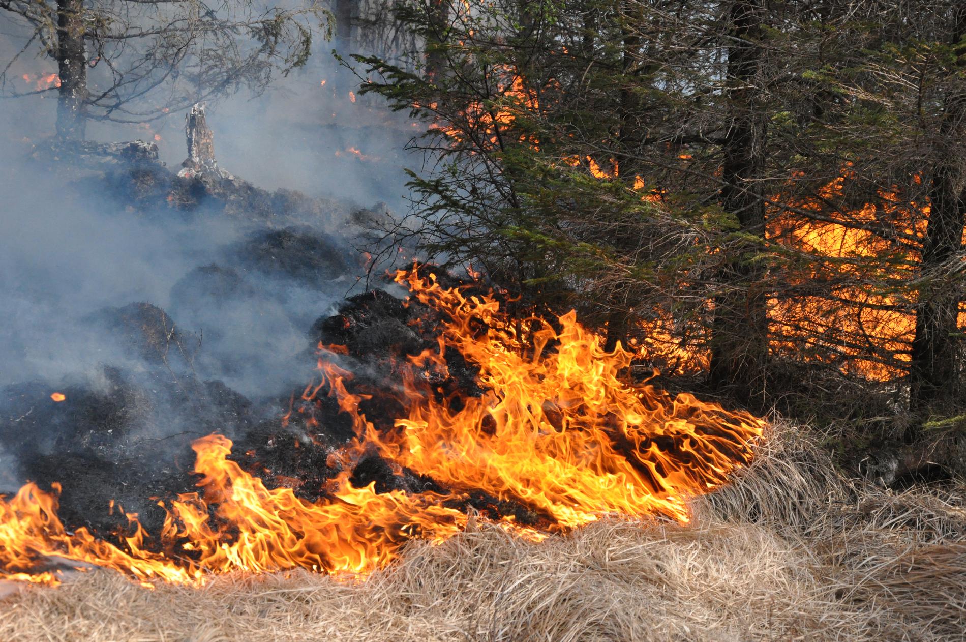 Flera gräsbränder i Bergslagen på lördagen. Bilden är tagen vid ett tidigare tillfälle.