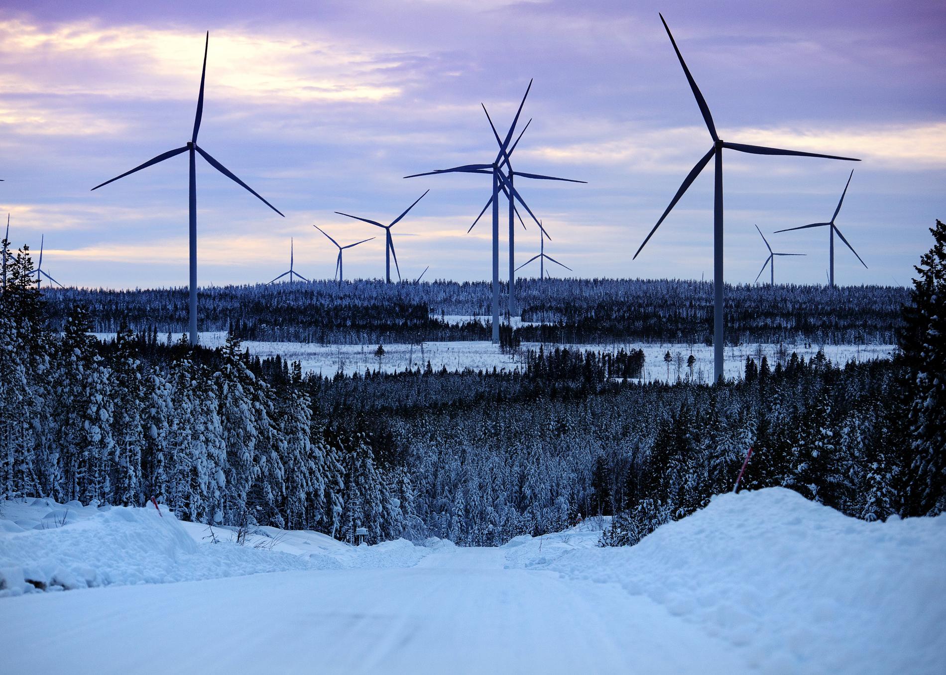 Markbygdens vindkraftpark, Piteå.