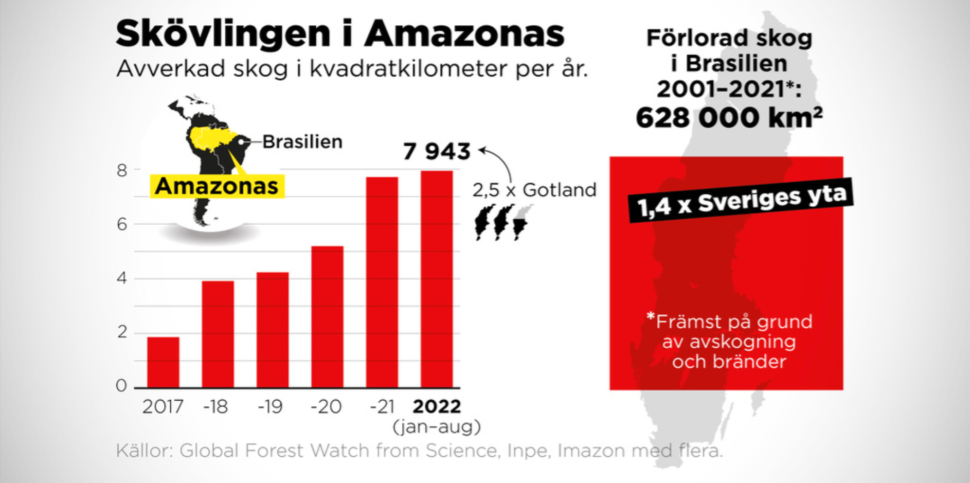 Hittills i år har 7 943 kvadratkilometer skog avverkats i Amazonas, ett område två och en halv gånger så stort som Gotland.