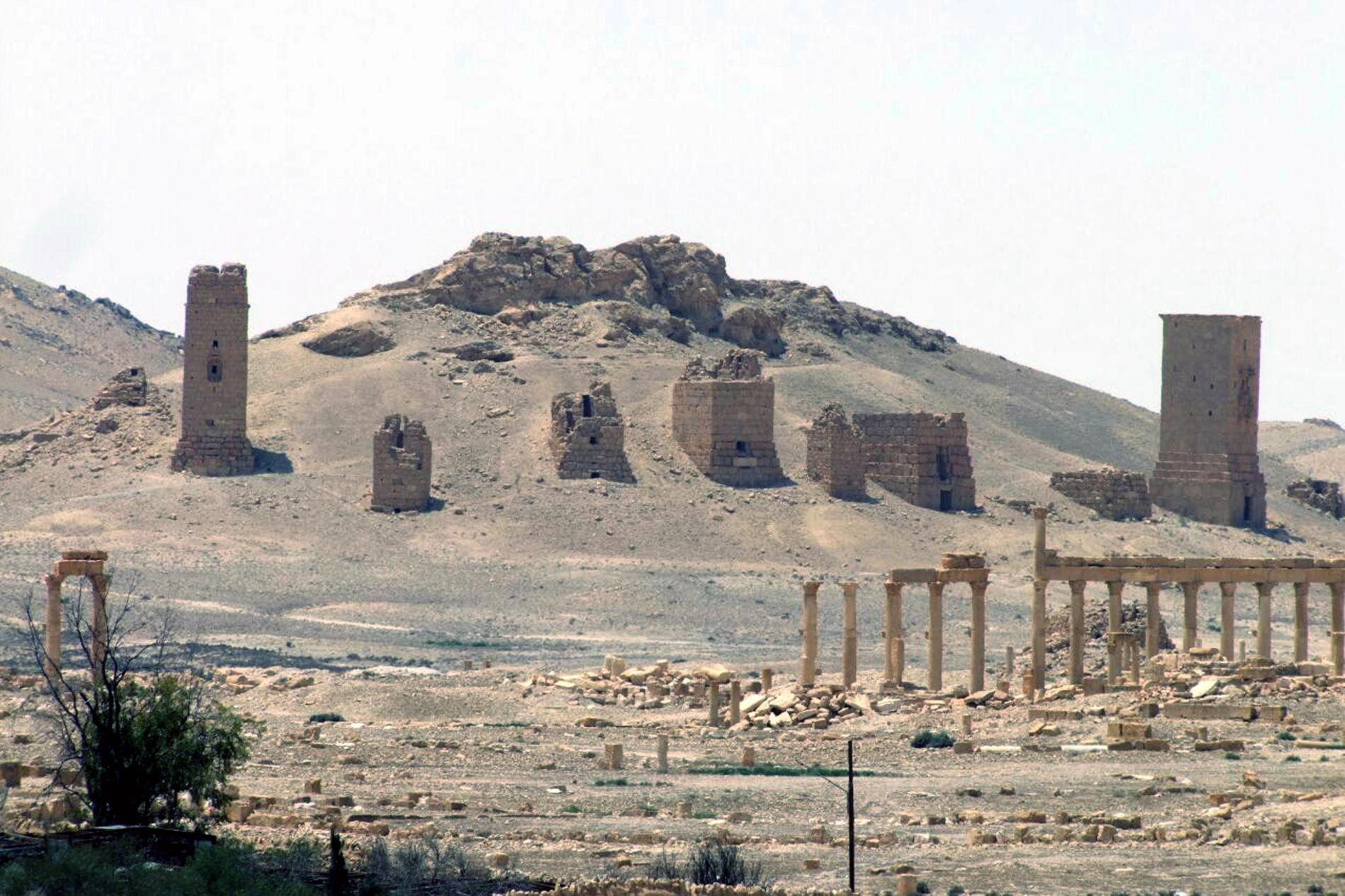 Den här bilden publicerades i söndags och visar den antika staden Palmyra där den ansedda arkeologen Khaled Asaad halshuggits av Islamiska staten.