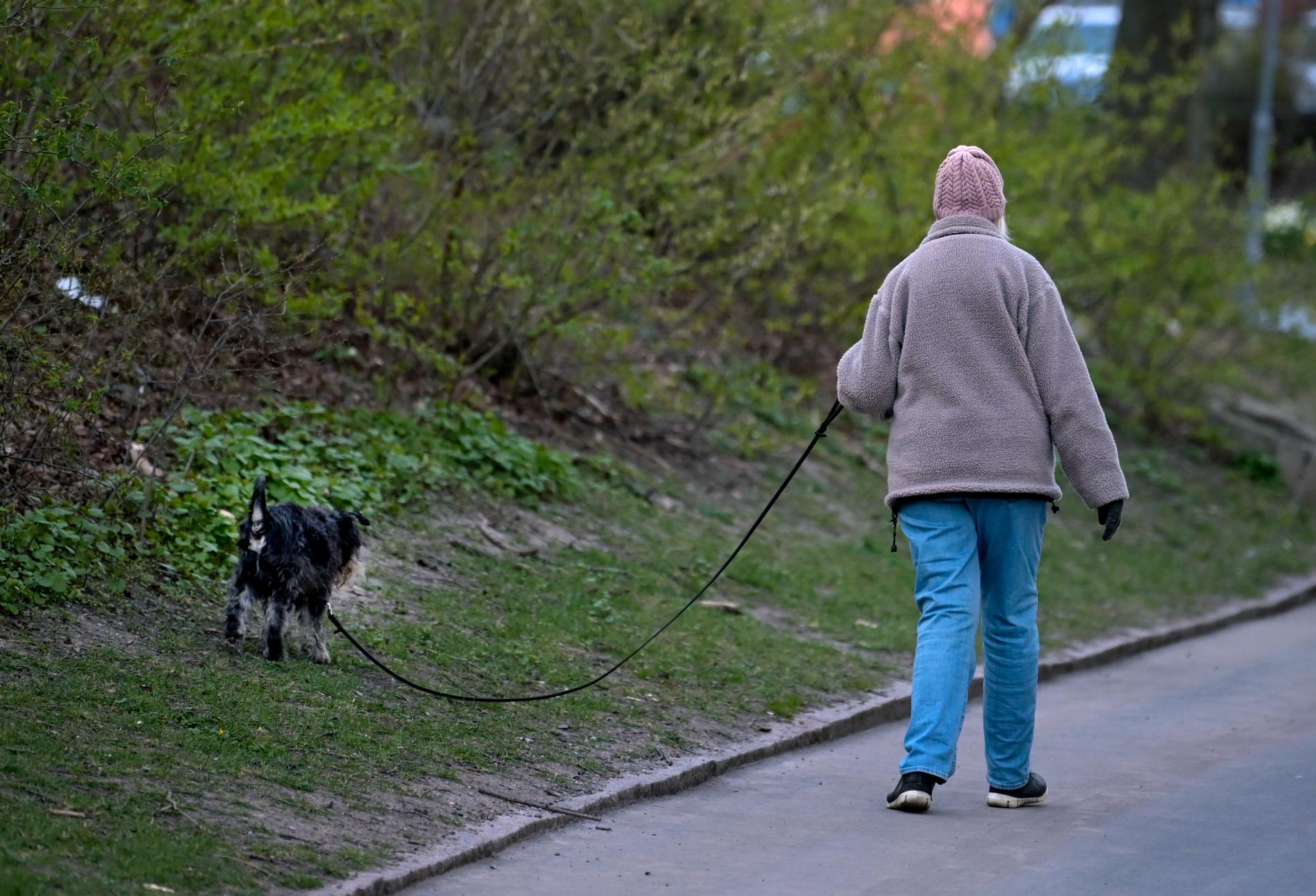En kvinnlig pensionär rastar sin hund.