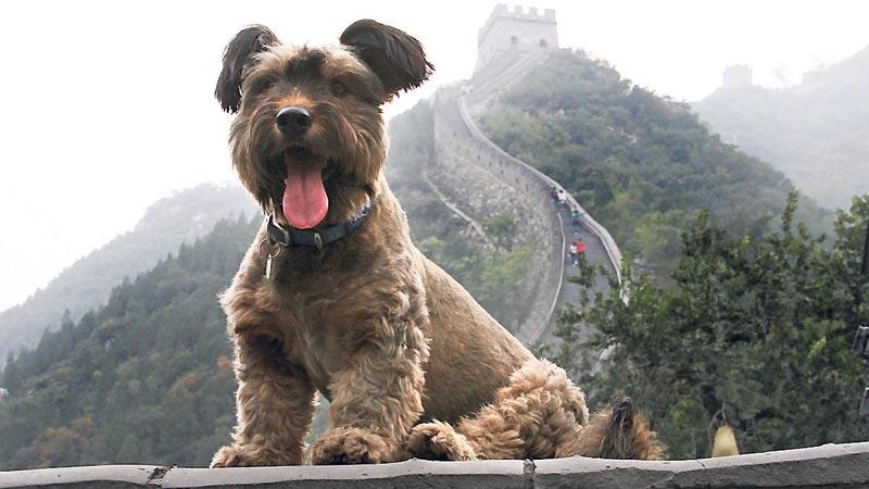 Oscar på Kinesiska muren.