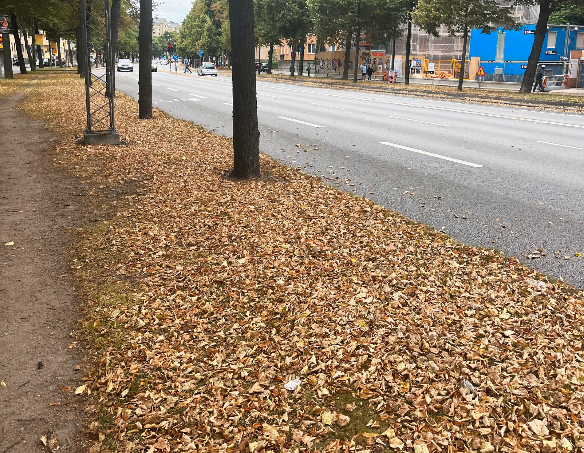 Hösten drar in över Sverige.
