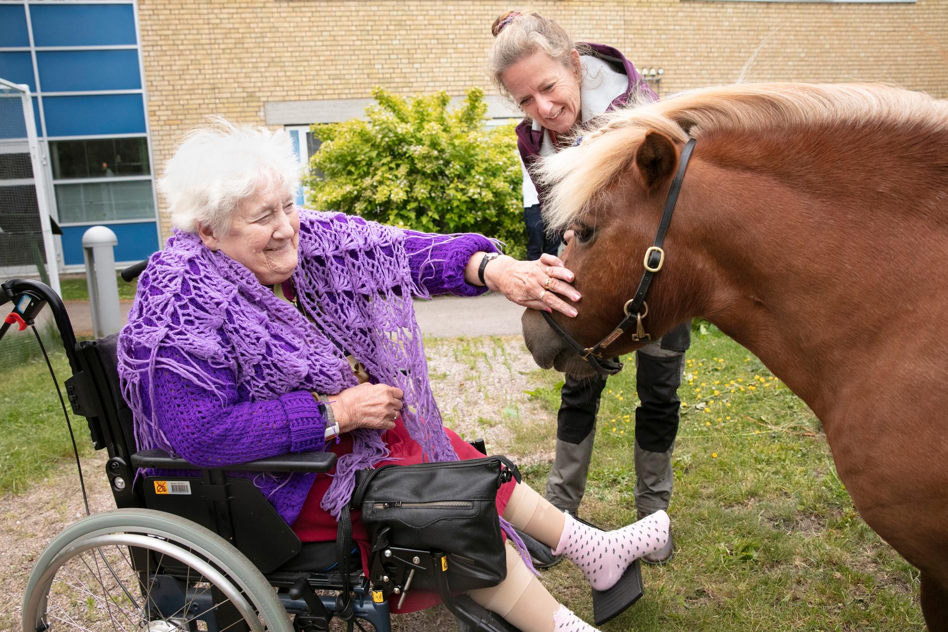Anna Sandholm, 88, har träffat ponnyn Martin en gång  tidigare. De fikade i trädgården i våras.
