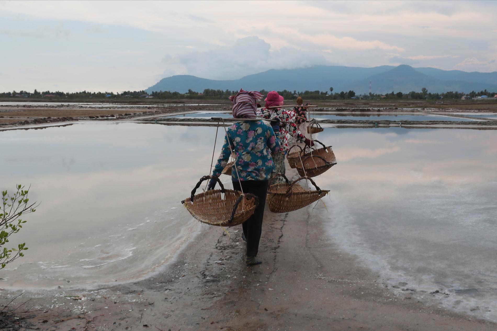 Våtmarkerna söder om Phnom Penh ger levebröd åt fler än 1 000 familjer som lever, fiskar och brukar mark i området.