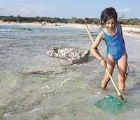 Den som söker hon finner. Marta Llull letar snäckor på stranden d es Trenc. Stranden, som egentligen är ett pärlband av flera olika stränder, är den enda som är helt oexploaterad på Mallorca tack vare att den ligger i ett naturreservat.