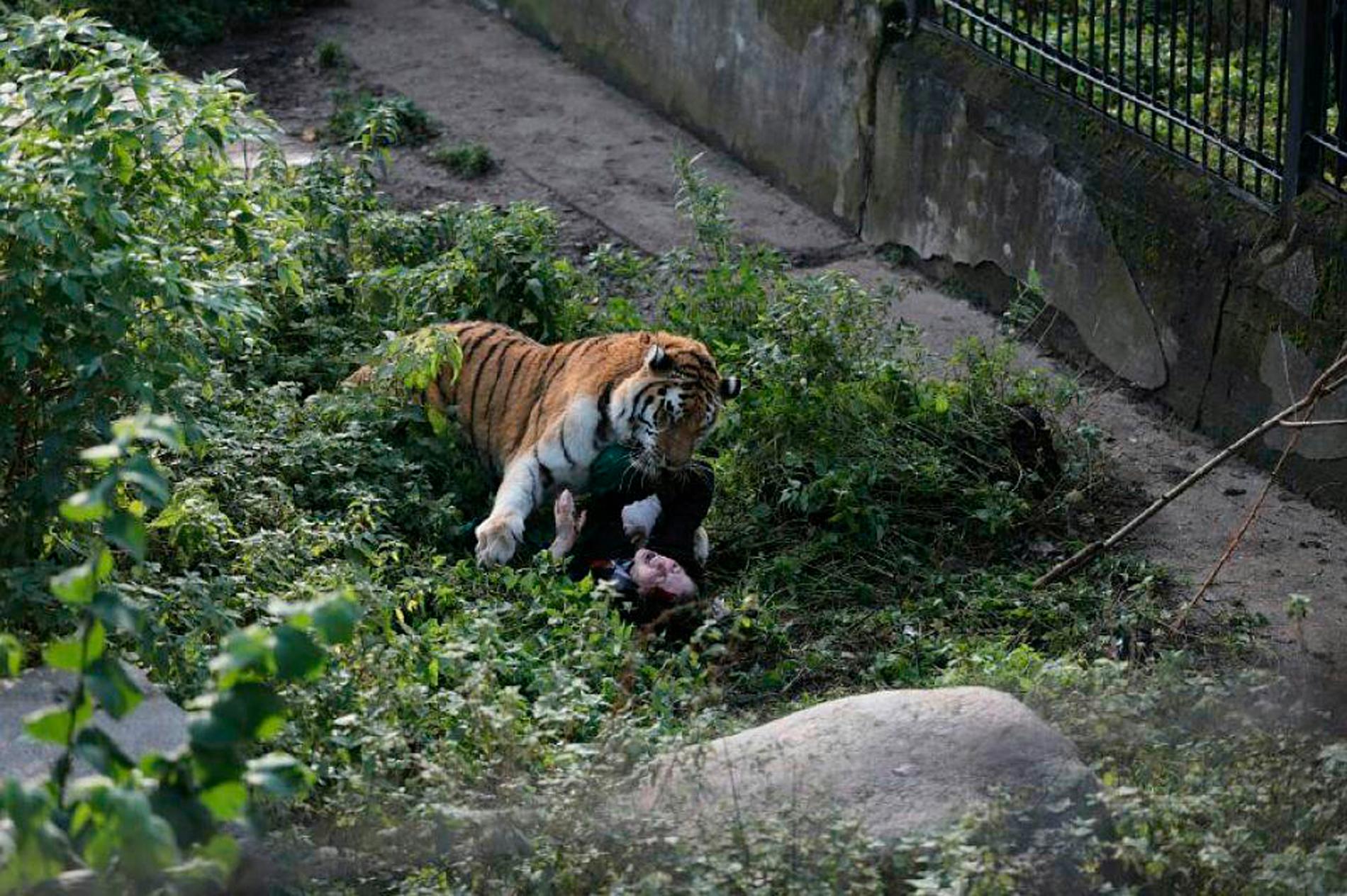 Djurparksbesökarna blev vittnen till attacken. Det var även de som räddade kvinnan genom att kasta sten och kaféinredning på tigern. 