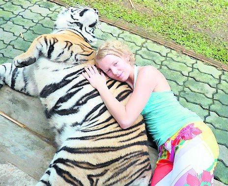 Mötet med tigrarna i parken i Chiang Mai var en riktig höjdare.