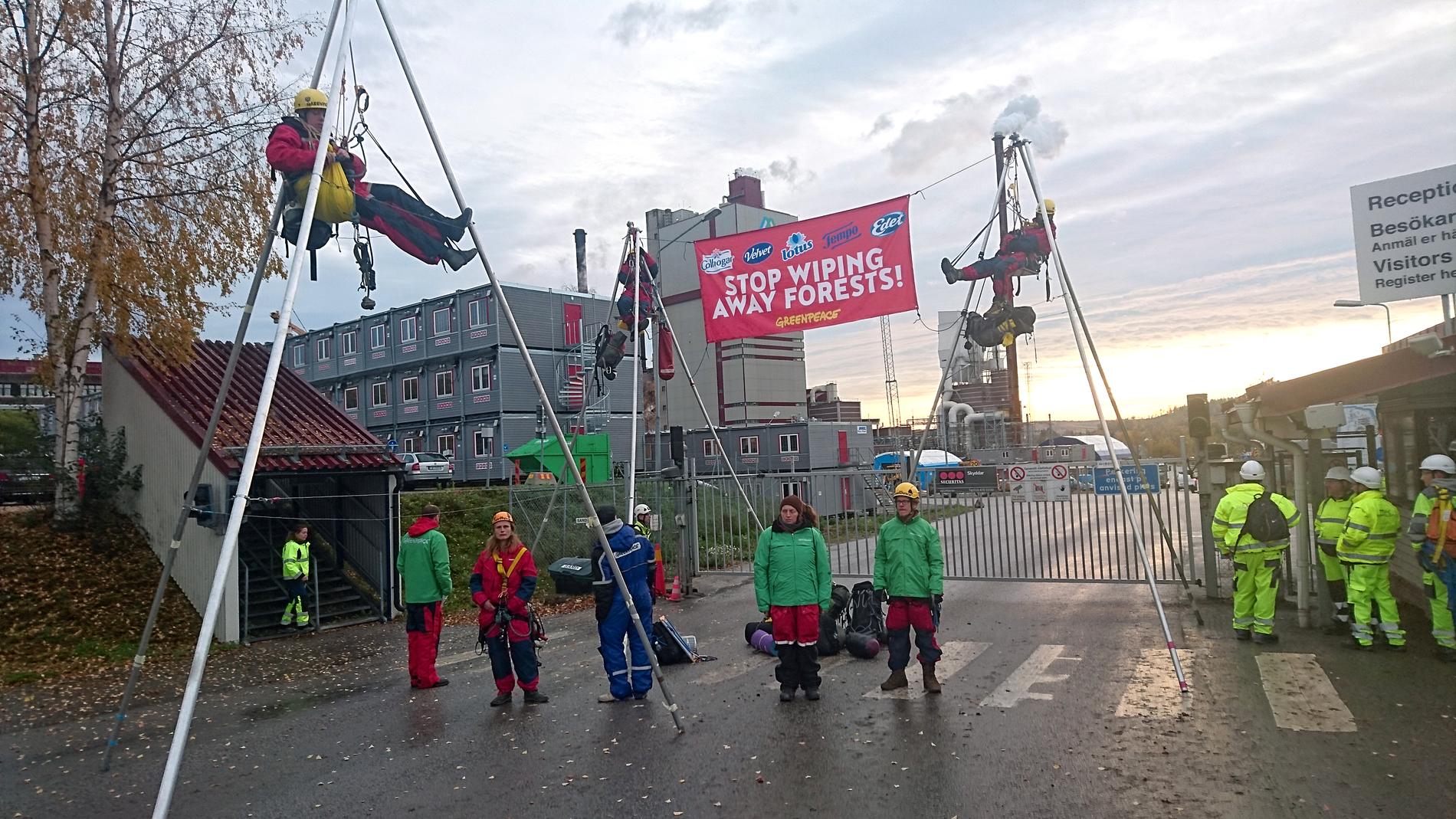 Greenpeaceaktivister blockerar pappersmassafabriken i Timrå.