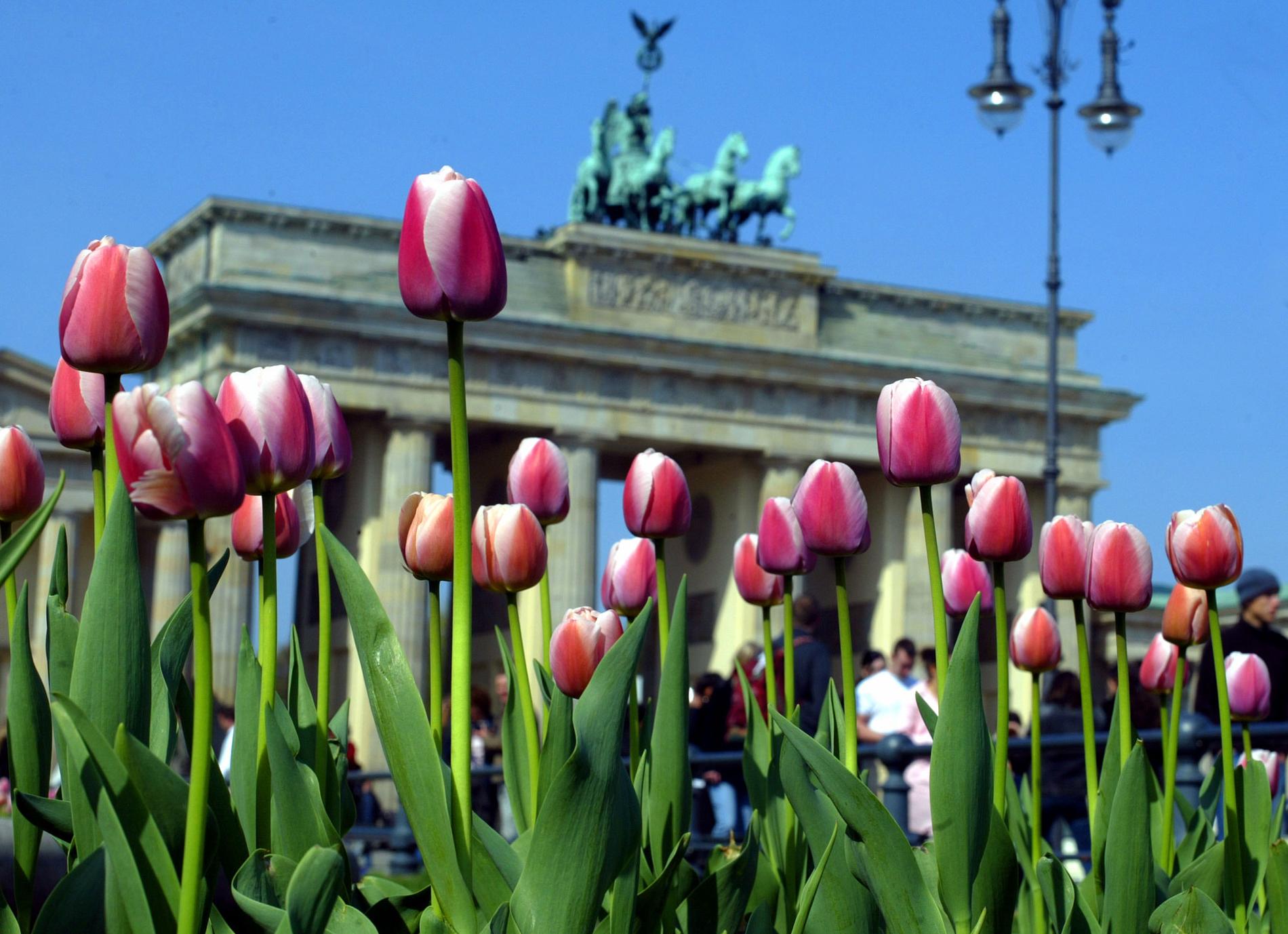 9. Berlin, Tyskland I Tysklands huvudstad Berlin trivs ung som gammal. Historiska monument, shopping och ett rikt nattliv är bara några av godbitarna som staden har att erbjuda.
