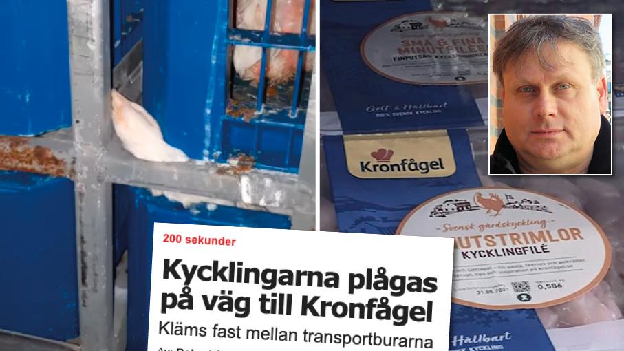 Näringsminister Ibrahim Baylan var upprörd efter Aftonbladets avslöjande om djurplågeriet inom kycklingbranschen. Men det räcker inte. Här kommer en lista över saker som Baylan faktiskt kan göra redan i dag, skriver Roger Pettersson, World Animal Protection Sverige.