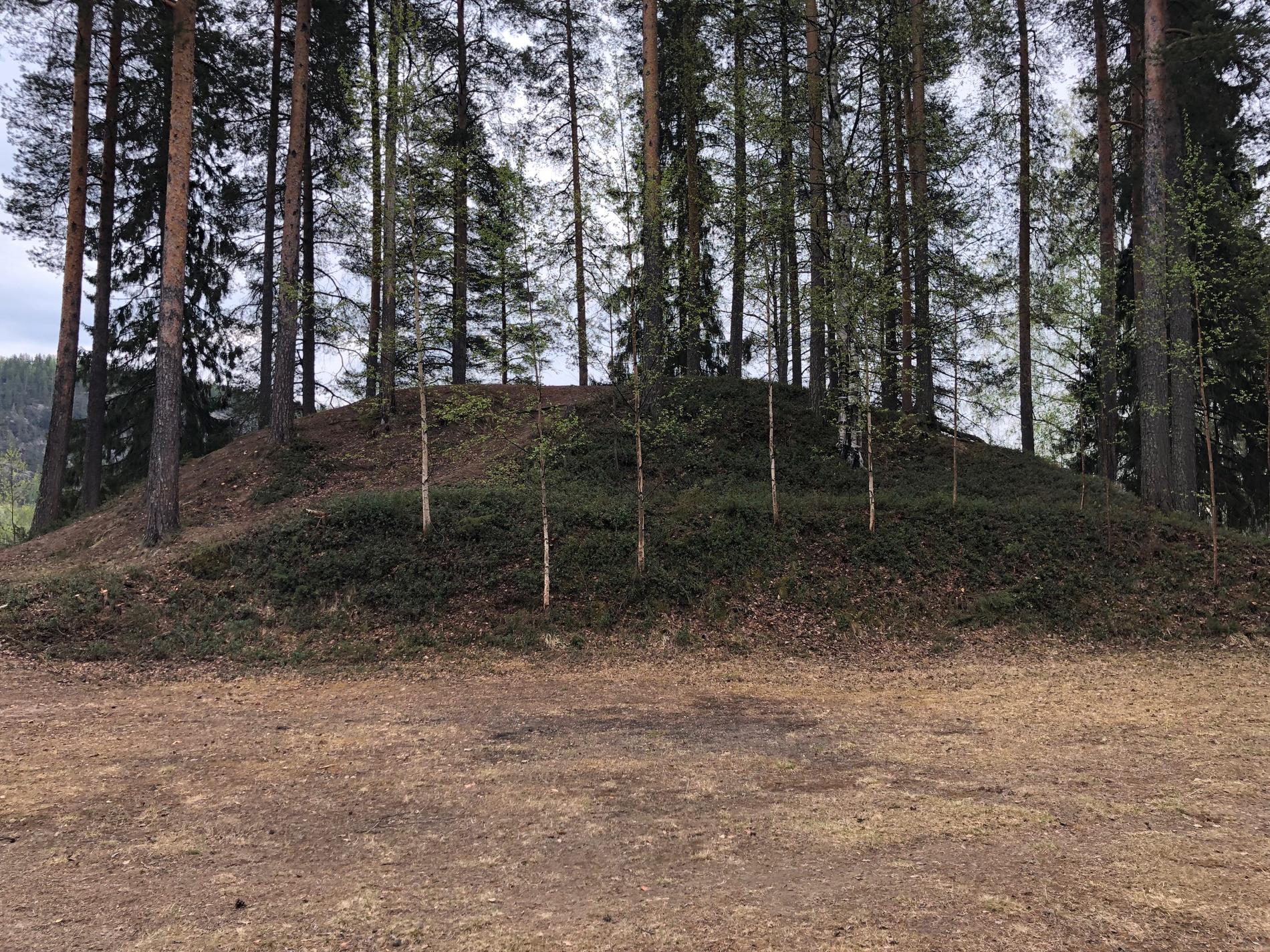 Med stor sannolikhet är de mystiska högarna utanför Älvsbyn väldigt gamla gravhögar.