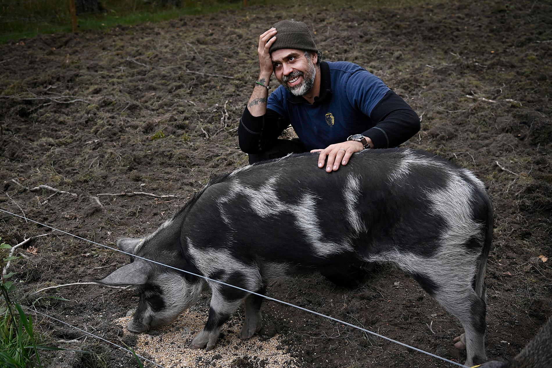 I dagsläget är Kalle Zackari Wahlström inte säker på om grisarna kommer att bli mat eller ej.
