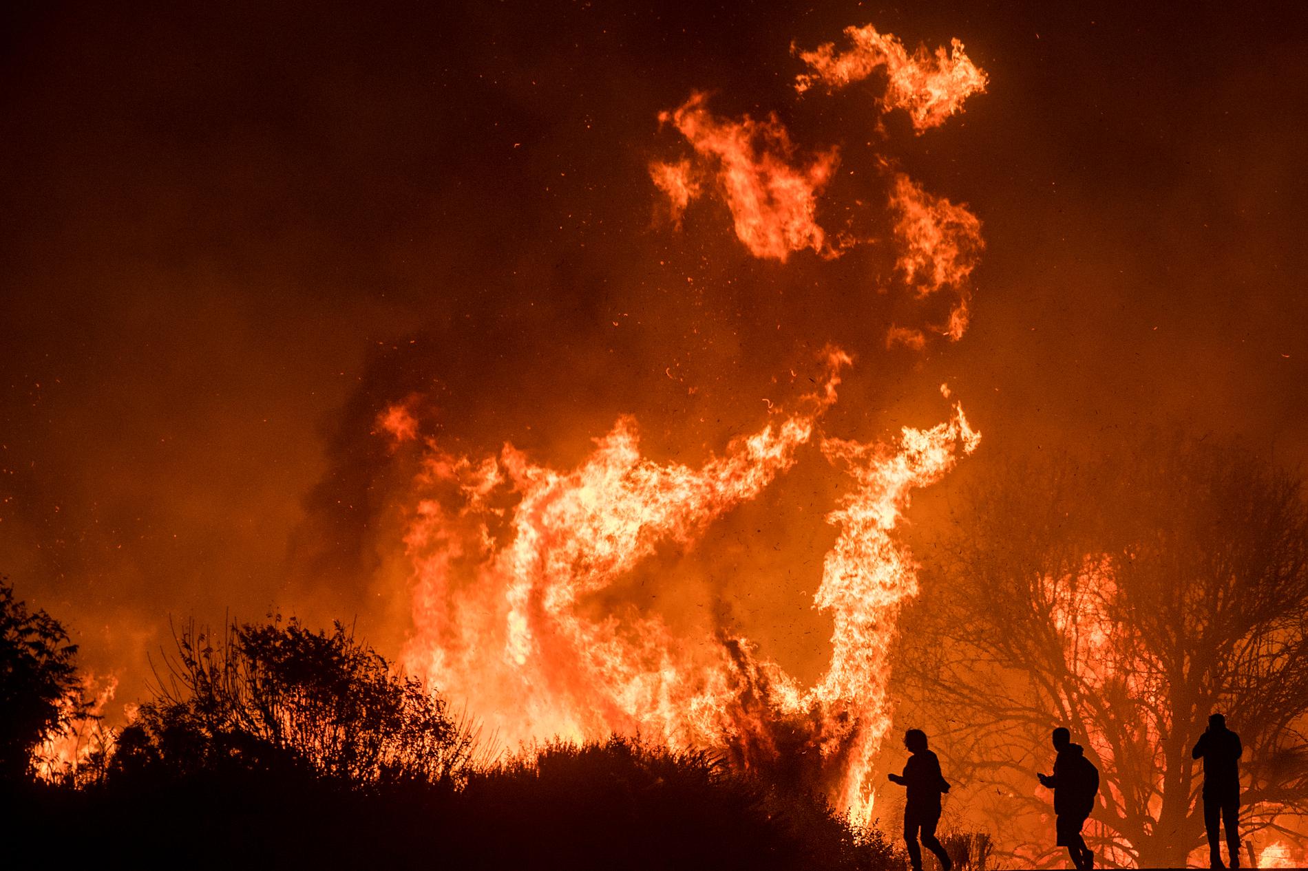 Eldsflammor nära Highway 101 vid Ventura.