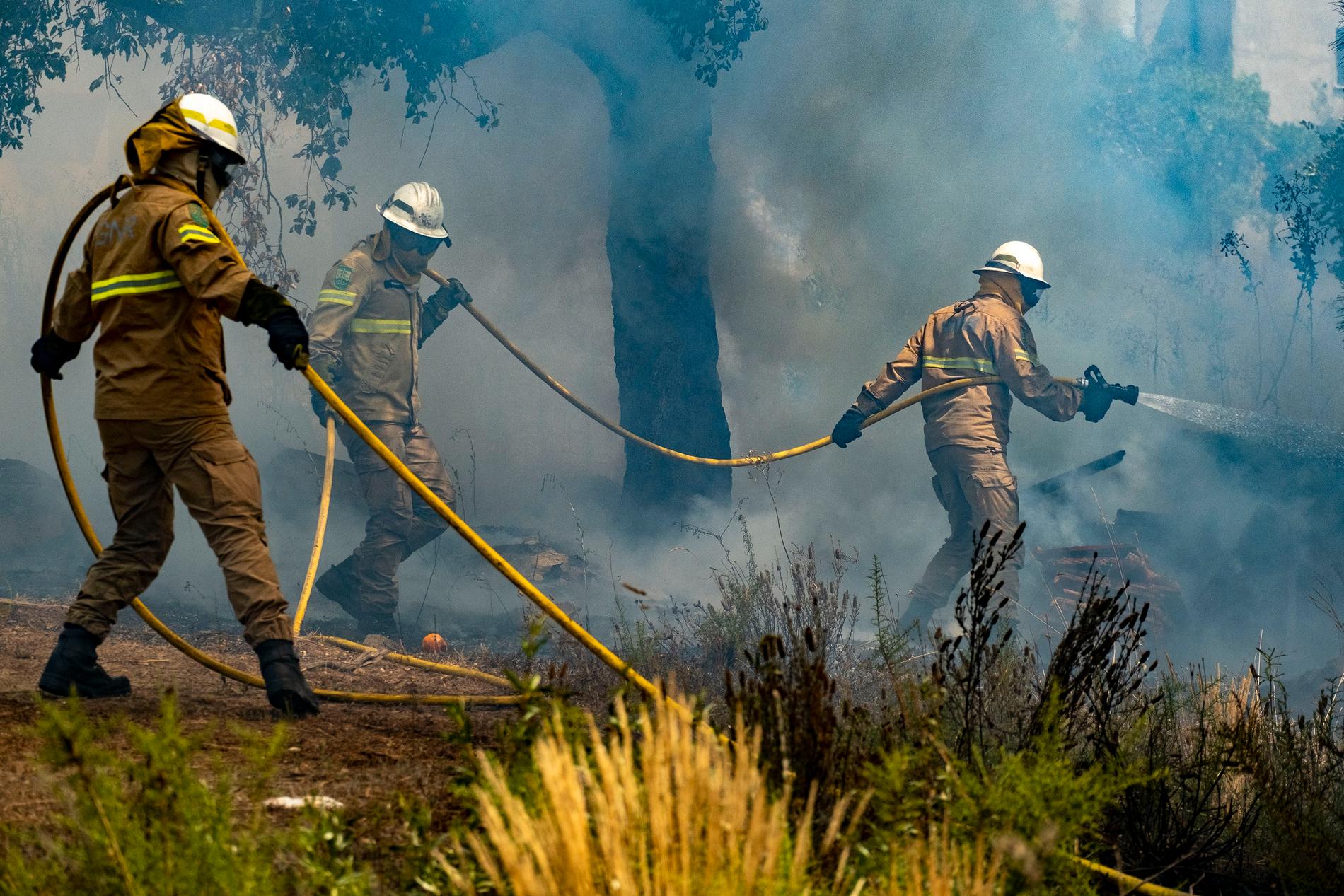 Brandmän försöker släcka en skogsbrand i centrala Portugal i juli förra året. Arkivbild.