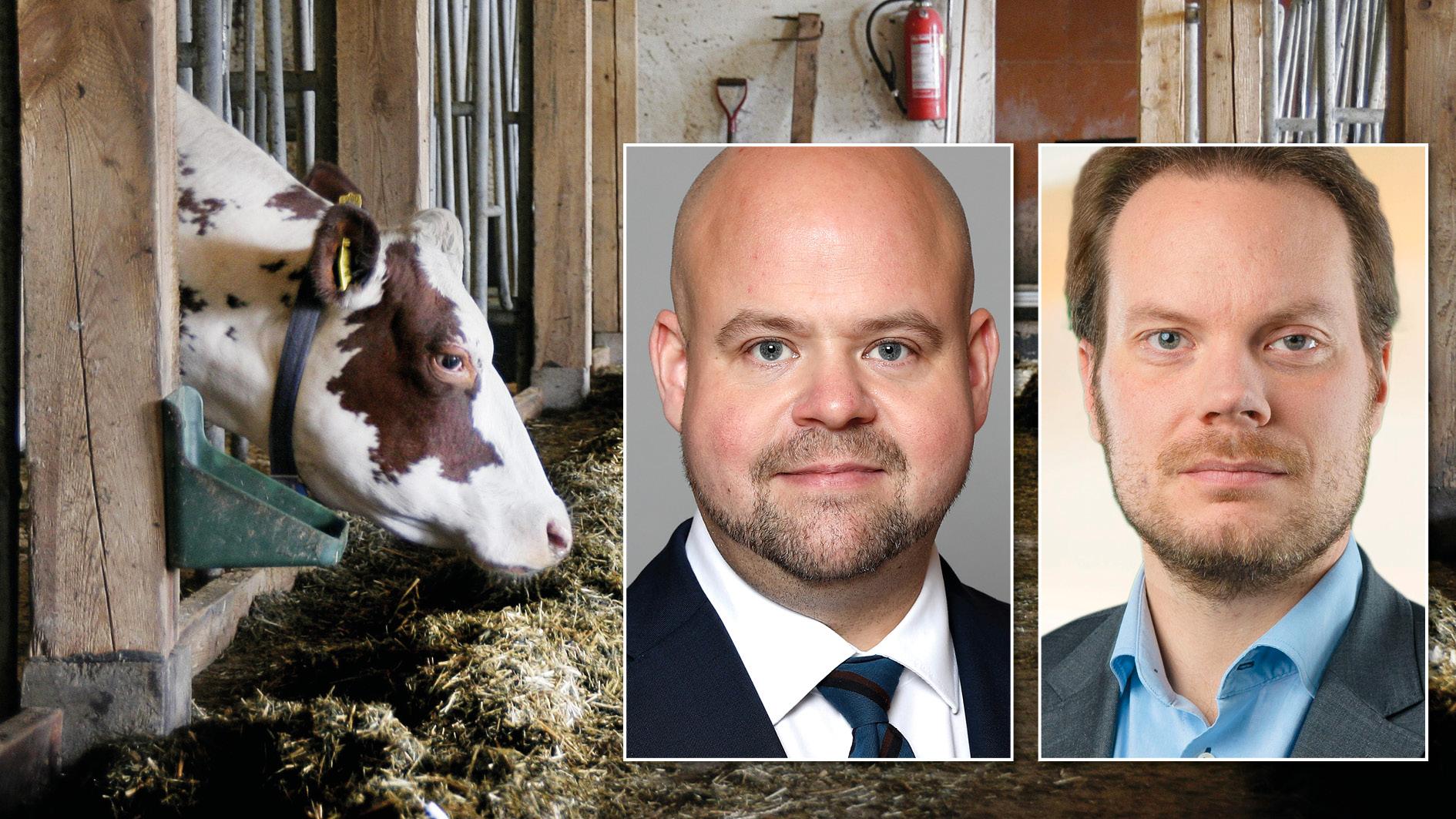 I dag har regeringen beslutat att tillsätta en utredning med syfte att ge stärkt konkurrenskraft för livsmedelsproducenter och att upprätthålla ett starkt djurskydd, skriver landsbygdsminister Peter Kullgren och Martin Kinnunen, SD.