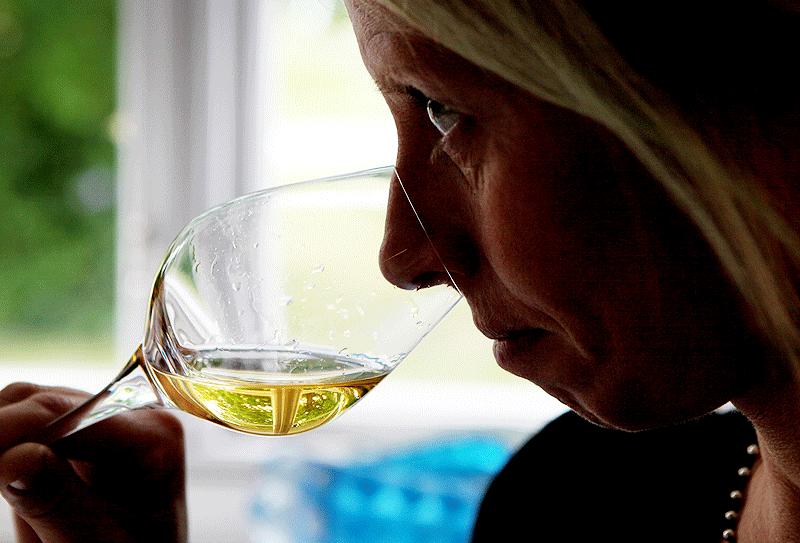 Vinexperten Ulrika Karlsson:Tecken på ett vin från svalare trakter och att druvorna vuxit i krit- och mineralhaltig jord. Lite som att slicka på en flintasten, mer metalliskt än salt.