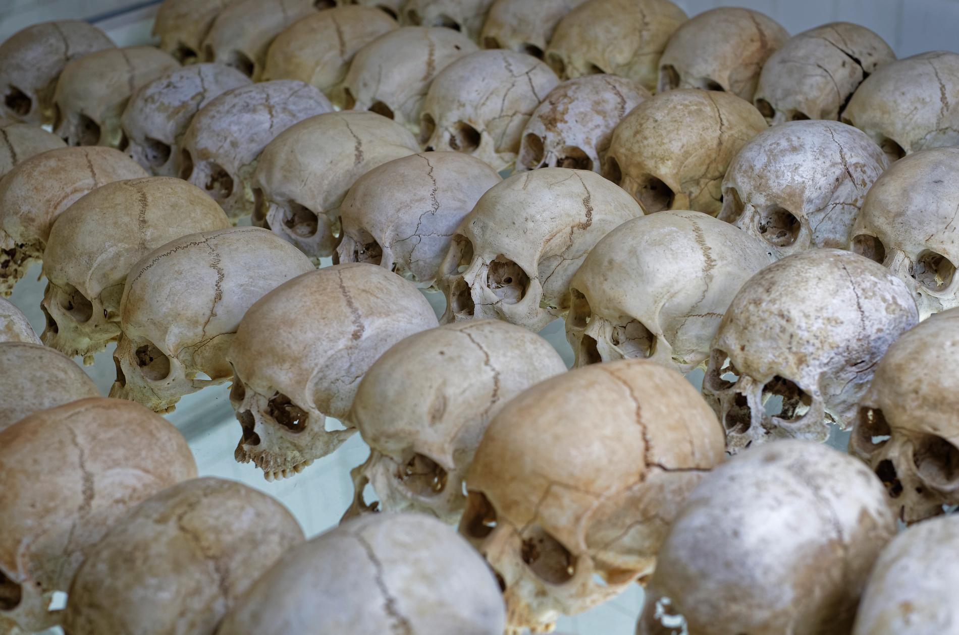 Skallar från offer för folkmordet i Rwanda. Arkivbild.