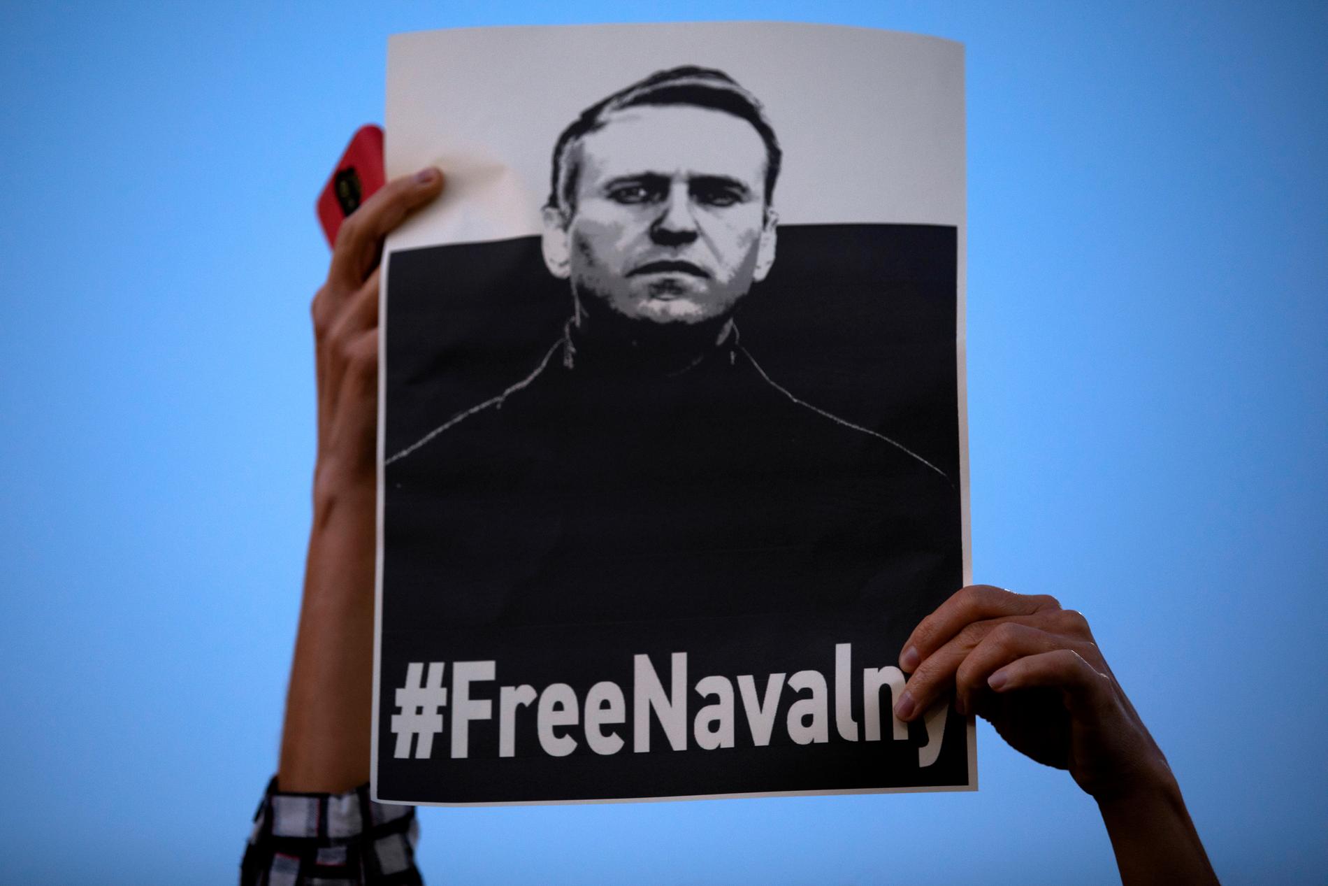Anhängare kräver att Aleksej Navalnyj släpps. Arkivibild.