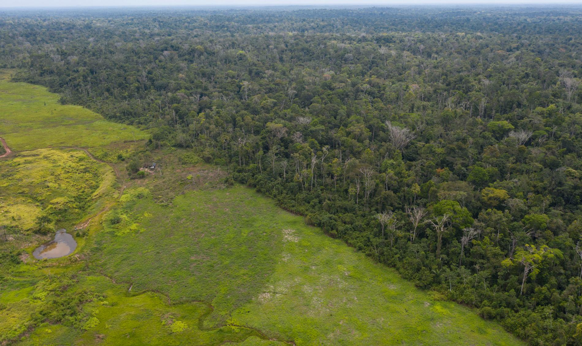 Avskogningen i Amazonas har ökat stort under 2019, enligt preliminära brasilianska data. Bild tagen i september 2019 i delstaten Pará.