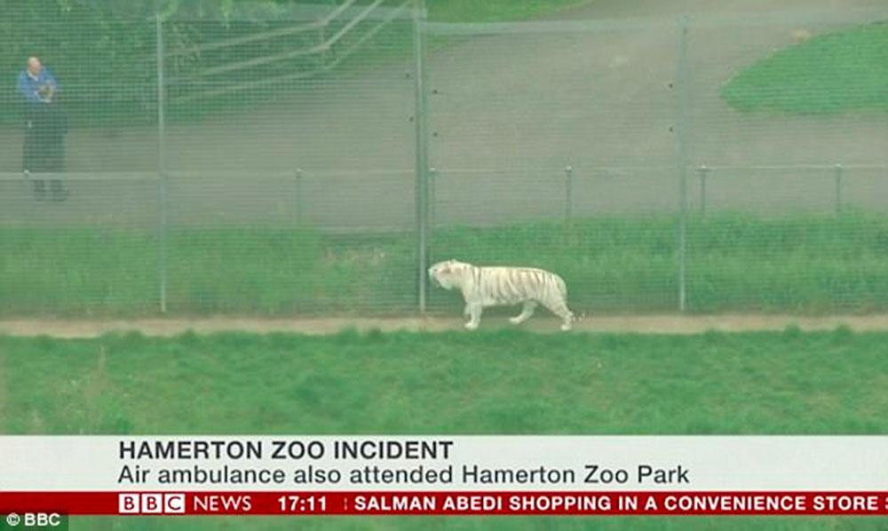 Kvinna dog på en djurpark i England.