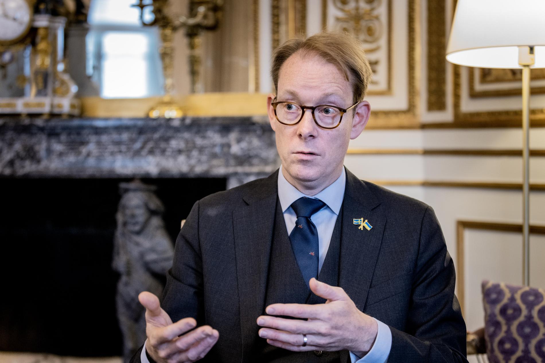 – Vi måste ha flera tankar i huvudet samtidigt, säger utrikesminister Tobias Billström (M).