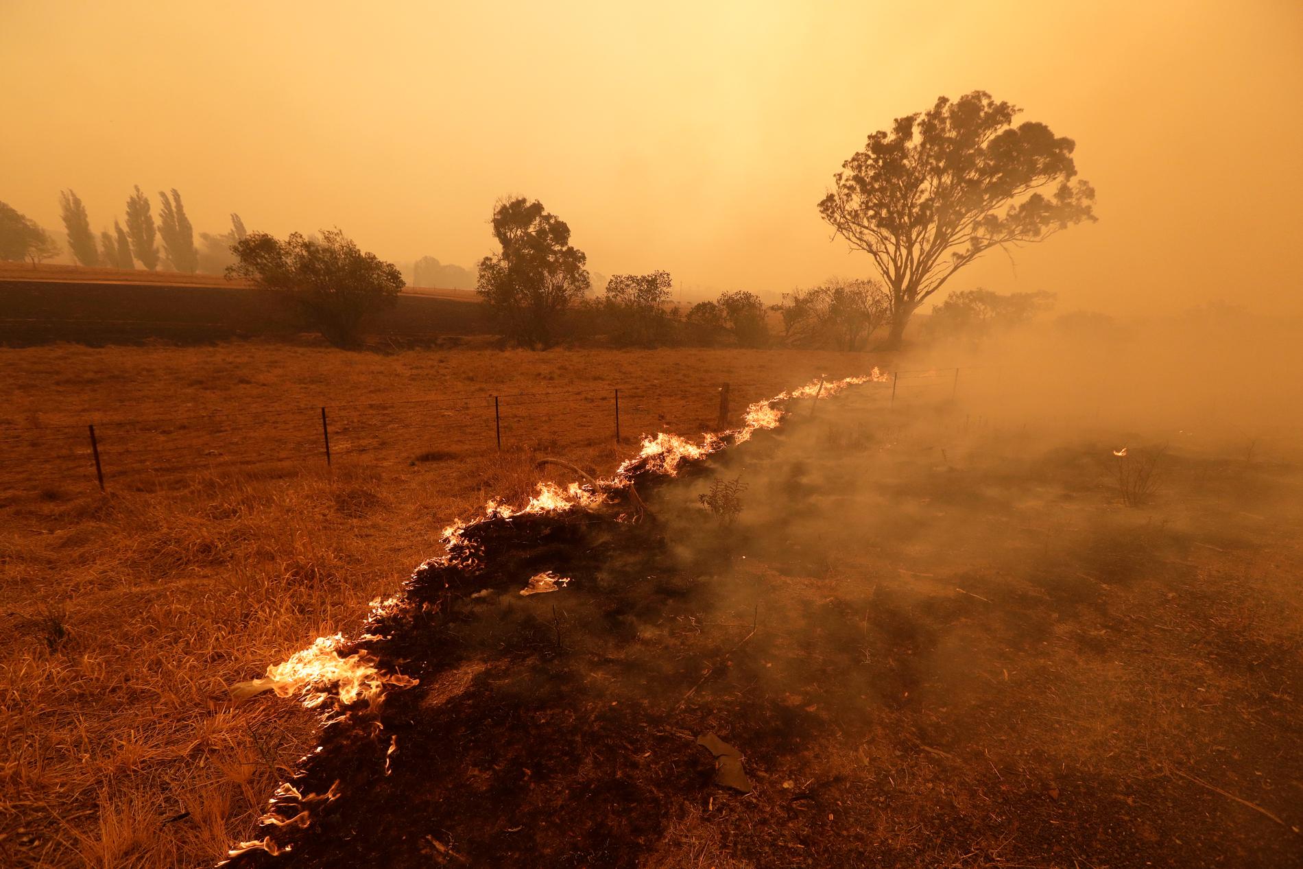 Bränder sydost om Australiens huvudstad Canberra i februari 2020. Arkivbild.