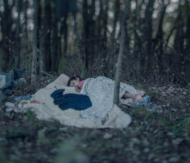 Magnus Wennman har tagit Årets bild. Lamar, 5, sover på en filt i skogen vid gränsen mellan Serbien och Ungern.