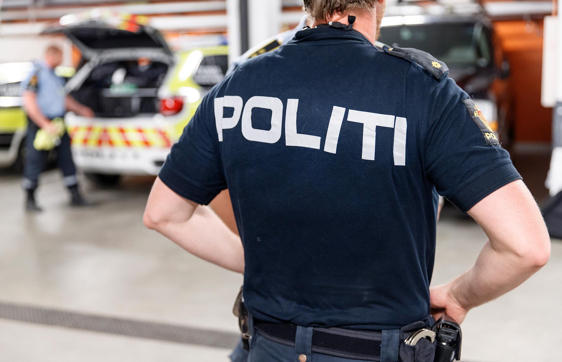 Norsk polis får nu hjälp från Nederländerna i sökandet efter en saknad Wikileaksmedarbetare. Arkivbild.
