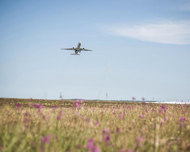 Vissa dagar kommer över 100 000 passagerare till Arlanda flygplats. 
