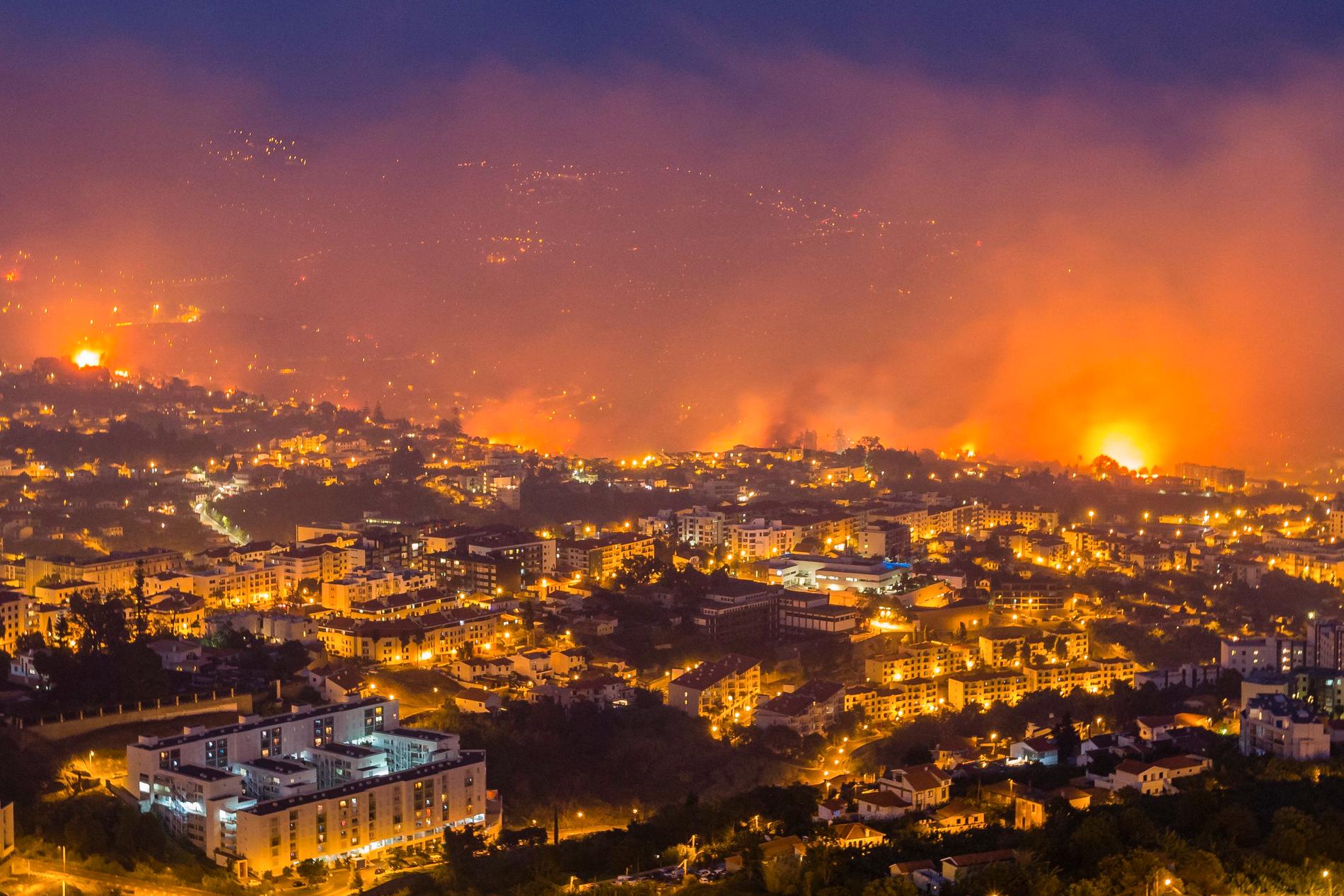 Bränderna i Portugal har nu även blossat upp i turistorten Funchal på Madeira.