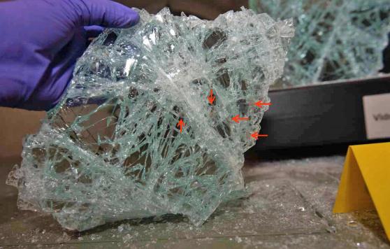 Undersidan av ett glasstycke från den krossade montern med blodfläckar som efter dna-analys har visat sig tillhöra den nu åtalade 22-åringen. Bild ur polisens förundersökning.