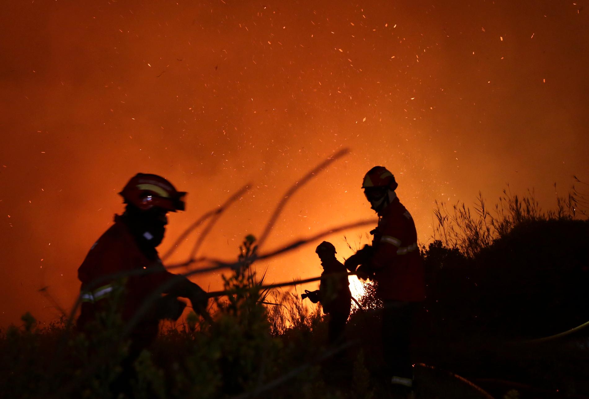 Skogsbrand i Portugal.