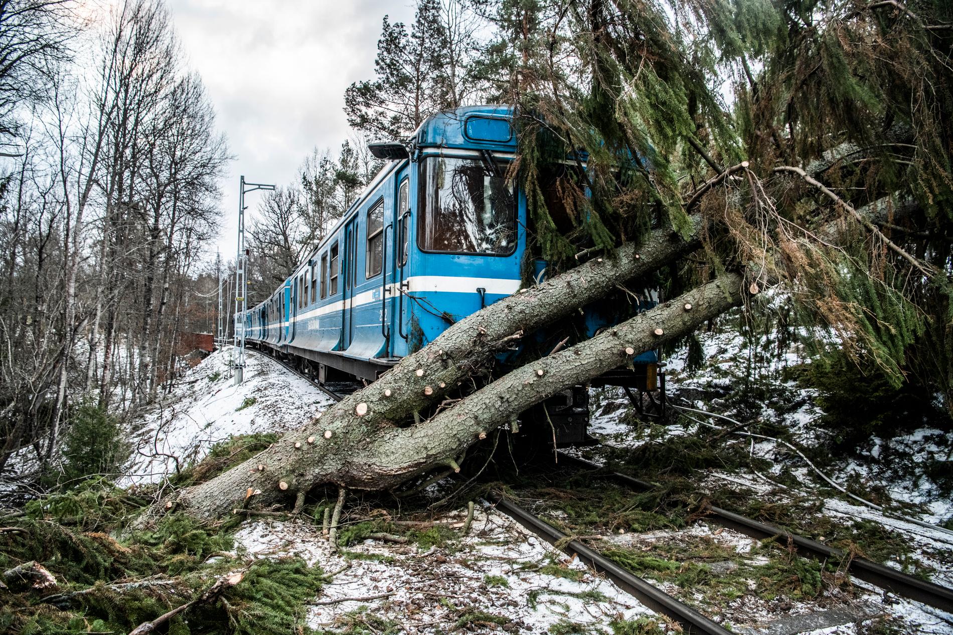 Stormen Alfrida orsakade problem och störningar i hela landet. Träd föll över spåren på Saltsjöbanan mellan Östervik och Saltsö-Duvnäs och rev ned en kontaktledning.