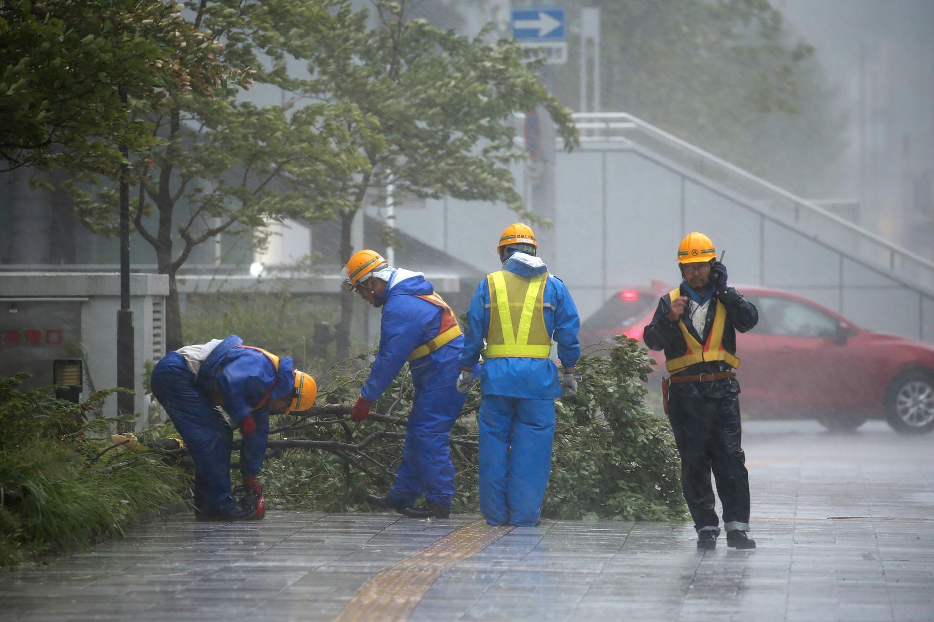 Personal från den lokala myndigheten i Nagoya rensar upp efter fallna träd.