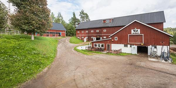 Gården i Töva utanför Sundsvall ligger nu ute till försäljning. 