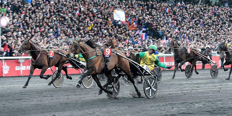 Face Time Bourbon vid förra årets Prix d’Amérique-seger. På söndag kan hästen ta hem andra raka titeln i det som kallas världens tuffaste travlopp.