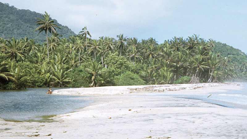 Nationalparken Tayrona har långa, vita stränder som ligger närmast öde.