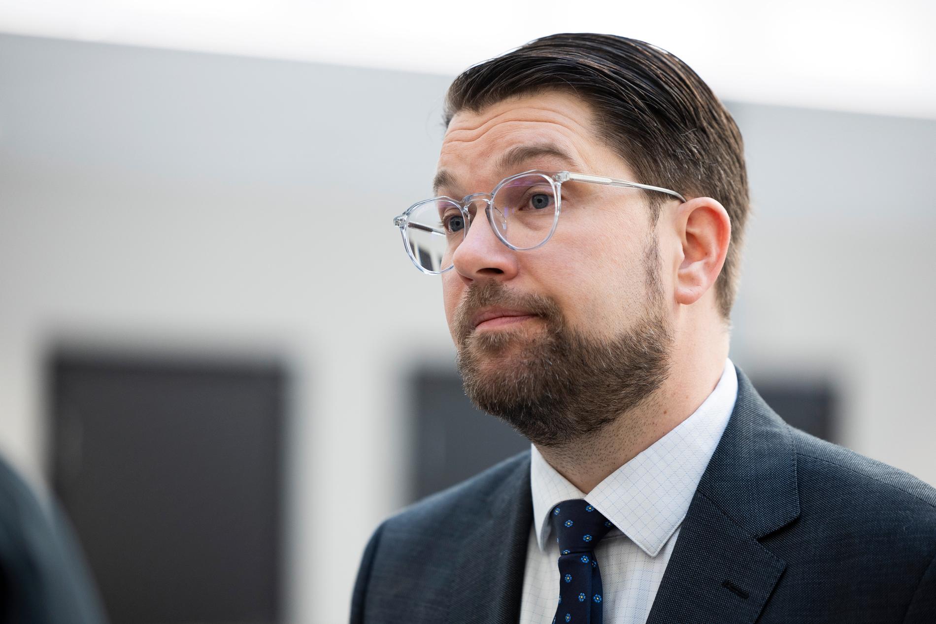 Jimmie Åkesson vill att regeringen får mer makt. 