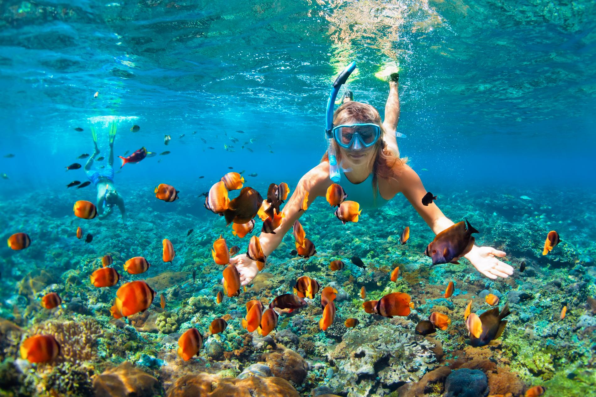 Vid Surinöarna finns Richelieu Rock, Thailands absolut bästa dykplats, som är känd för sina lila och röda koraller.