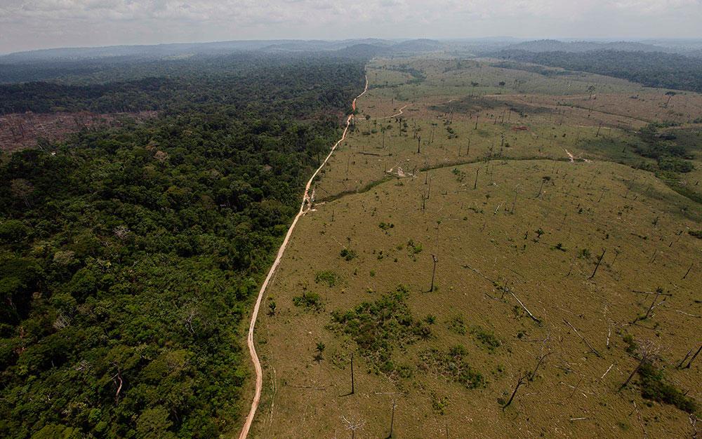 Skövlingstakten av Amazonas har ökat. Arkivbild från 2015 av avskogat område.