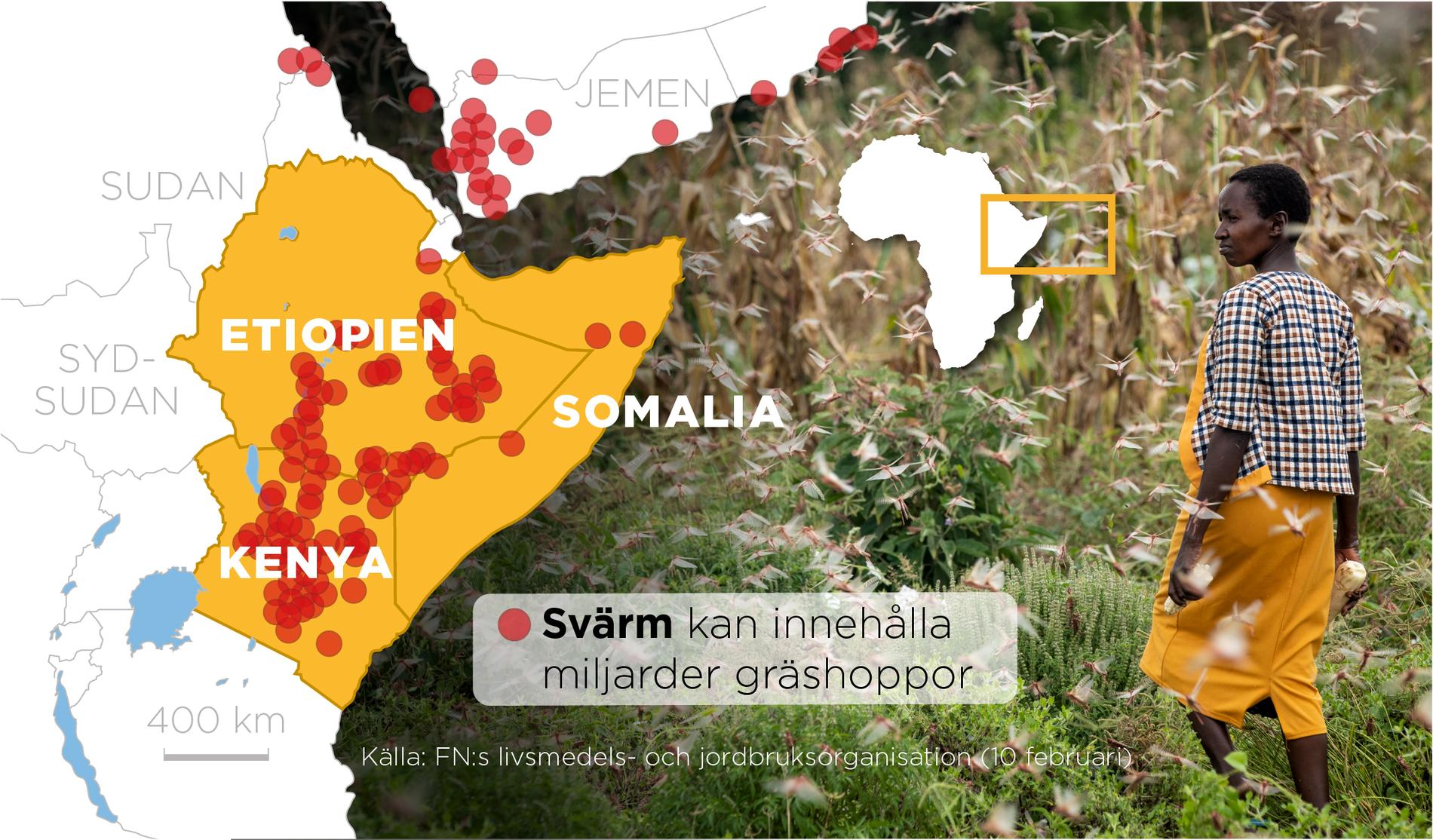 Karta som visar gräshoppssvärmarna i Östafrika.
