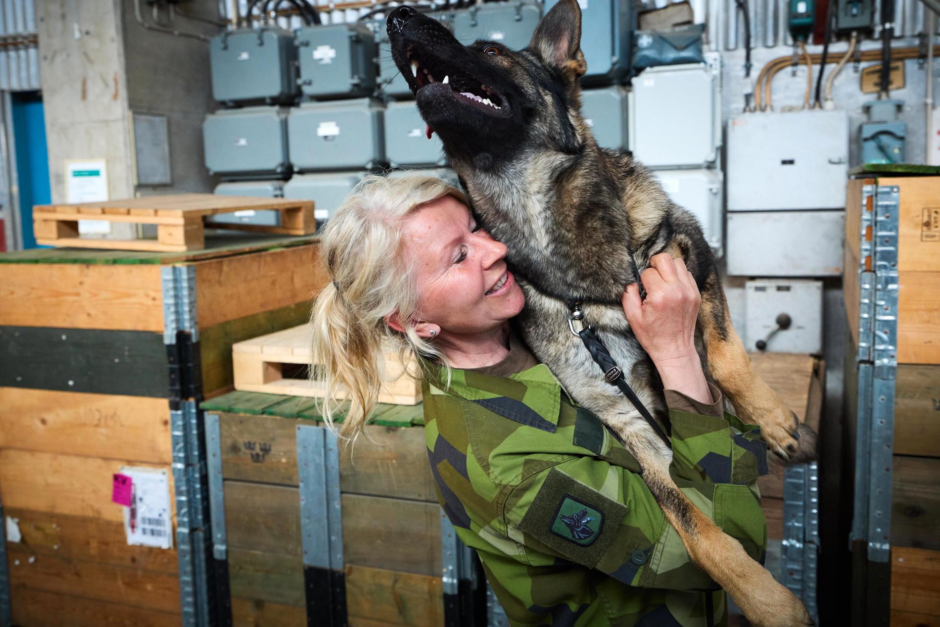 Snart tvååriga Pirra är en av hundarna som dressören Pia Eklund har ansvar över.